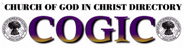 cogicdir.jpg (31104 bytes)